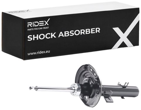 Ridex 854S2200 Shock Absorber, photo 2
