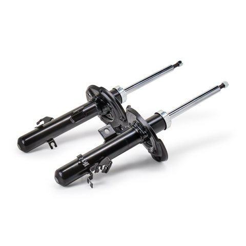 Ridex 854S2201 Shock Absorber, photo 3