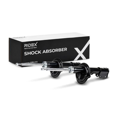 Ridex 854S2209 Shock Absorber, photo 2