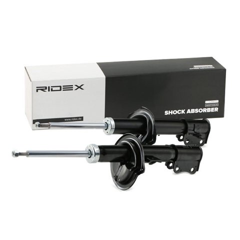 Ridex 854S2209 Shock Absorber, photo 3