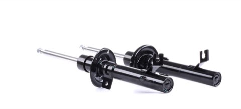 Ridex 854S2210 Shock Absorber