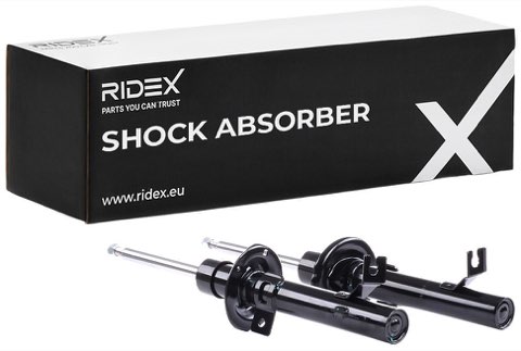 Ridex 854S2210 Shock Absorber, photo 2