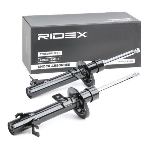 Ridex 854S2210 Shock Absorber, photo 3