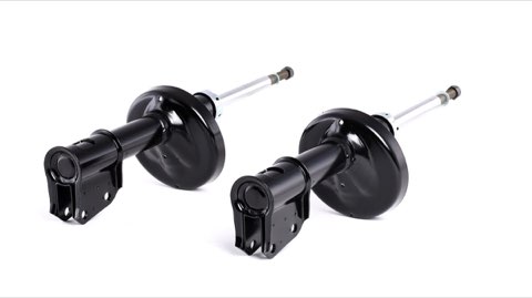 Ridex 854S2221 Shock Absorber