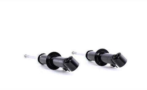 Ridex 854S2227 Shock Absorber