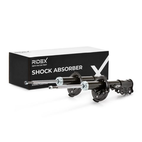 Ridex 854S2247 Shock Absorber, photo 2