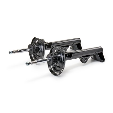 Ridex 854S2250 Shock Absorber, photo 2