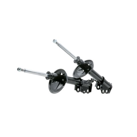 Ridex 854S2252 Shock Absorber