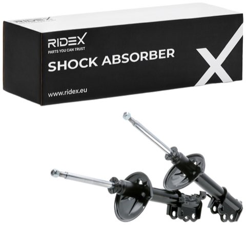 Ridex 854S2252 Shock Absorber, photo 2