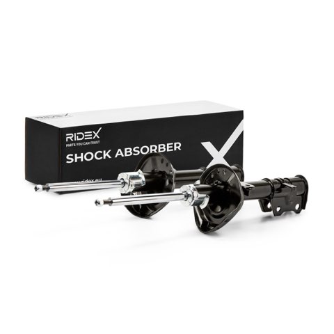 Ridex 854S2255 Shock Absorber, photo 2