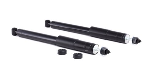 Ridex 854S2260 Shock Absorber