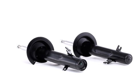 Ridex 854S2262 Shock Absorber