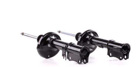 Ridex 854S2281 Shock Absorber
