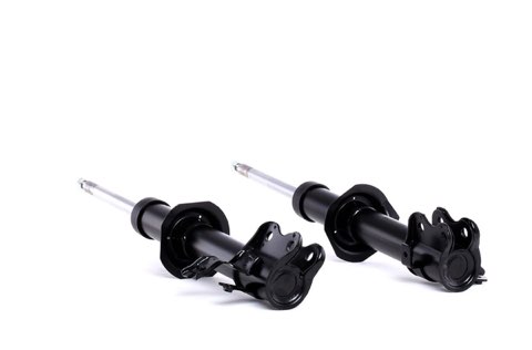 Ridex 854S2283 Shock Absorber