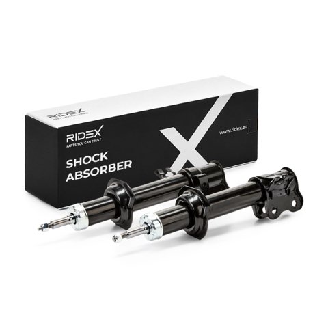 Ridex 854S2283 Shock Absorber, photo 2