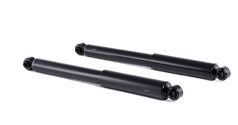 Ridex 854S2284 Shock Absorber