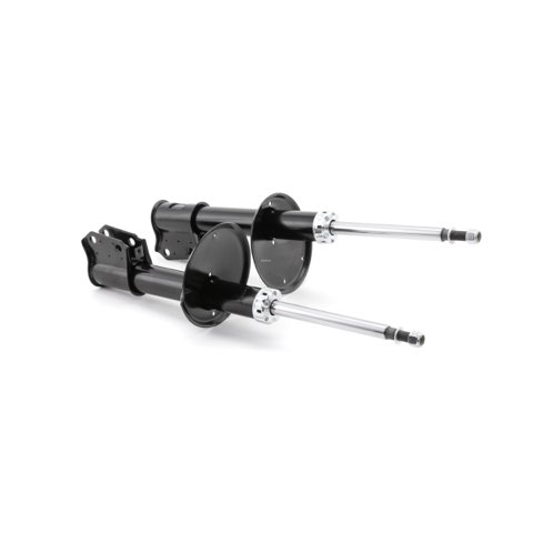 Ridex 854S2290 Shock Absorber