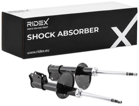 Ridex 854S2290 Shock Absorber, photo 2