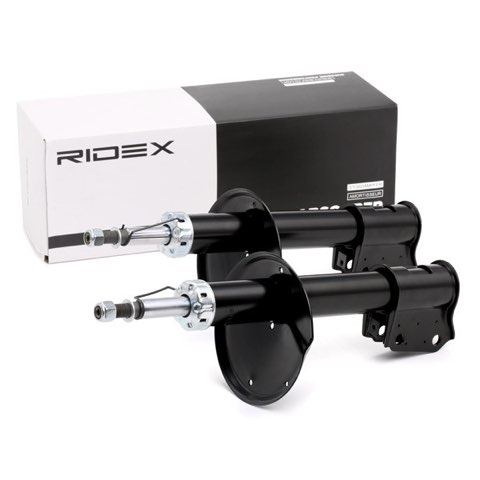 Ridex 854S2290 Shock Absorber, photo 3