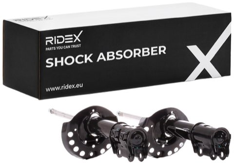 Ridex 854S2309 Shock Absorber, photo 2