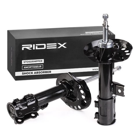 Ridex 854S2309 Shock Absorber, photo 3