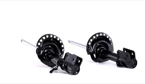 Ridex 854S2313 Shock Absorber