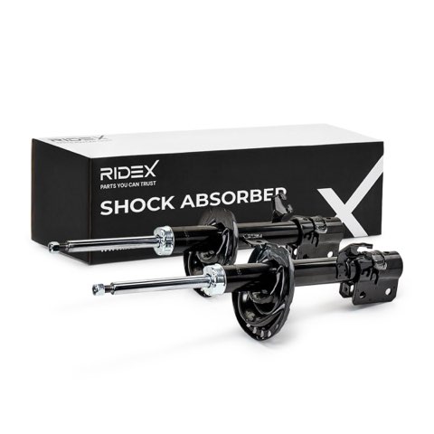 Ridex 854S2313 Shock Absorber, photo 2