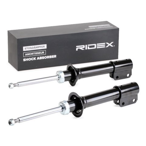 Ridex 854S2321 Shock Absorber, photo 2