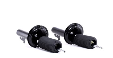 Ridex 854S2324 Shock Absorber