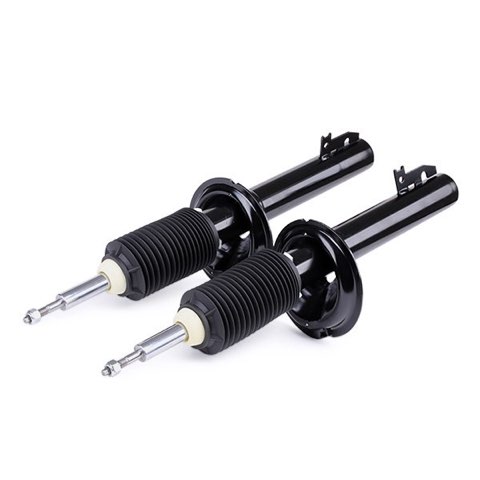 Ridex 854S2324 Shock Absorber, photo 3