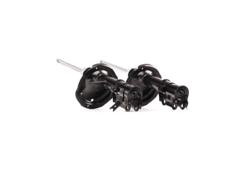Ridex 854S2348 Shock Absorber