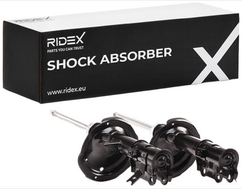Ridex 854S2348 Shock Absorber, photo 2