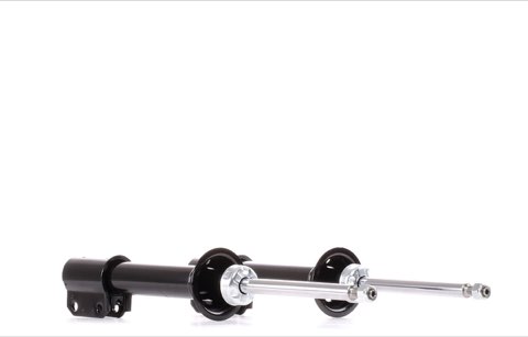 Ridex 854S2349 Shock Absorber