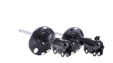Ridex 854S2360 Shock Absorber