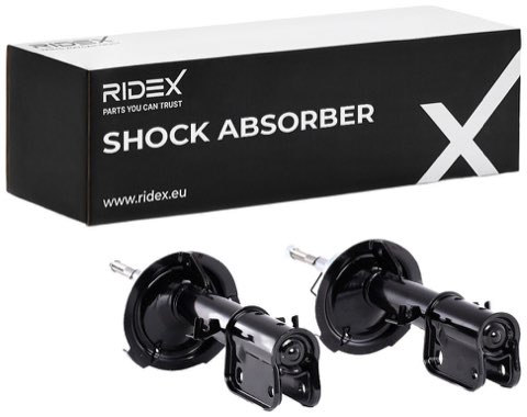 Ridex 854S2361 Shock Absorber, photo 2