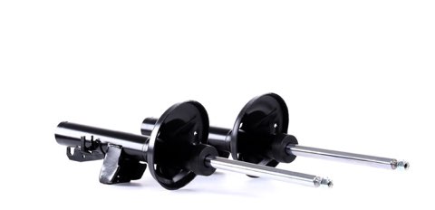 Ridex 854S2364 Shock Absorber