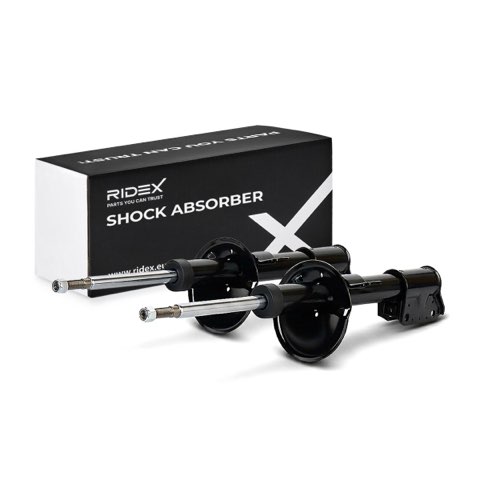Ridex 854S2367 Shock Absorber, photo 2