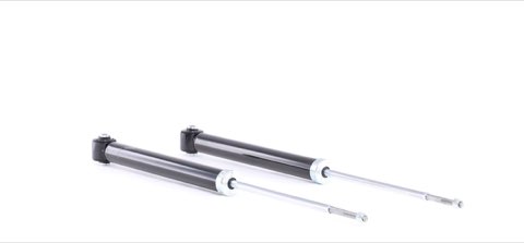 Ridex 854S2368 Shock Absorber