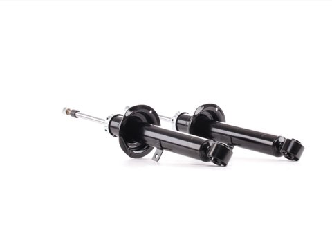 Ridex 854S2376 Shock Absorber