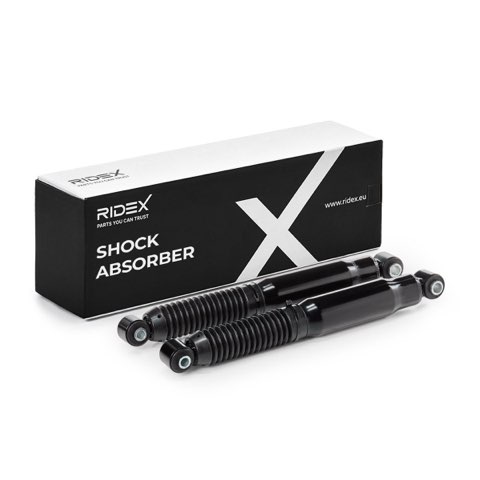 Ridex 854S2382 Shock Absorber, photo 2