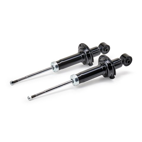 Ridex 854S2455 Shock Absorber, photo 2