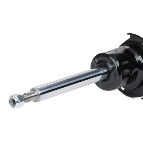 Ridex 854S2473 Shock Absorber, photo 3