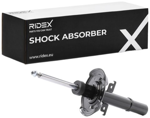 Ridex 854S2501 Shock Absorber, photo 2