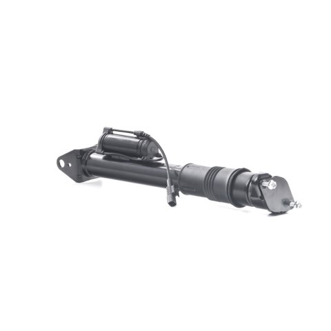 Ridex 854S2513 Shock Absorber