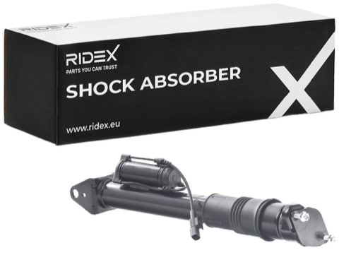 Ridex 854S2513 Shock Absorber, photo 2