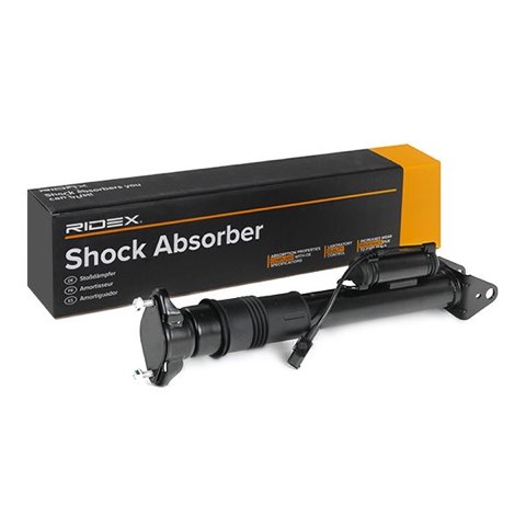 Ridex 854S2513 Shock Absorber, photo 3