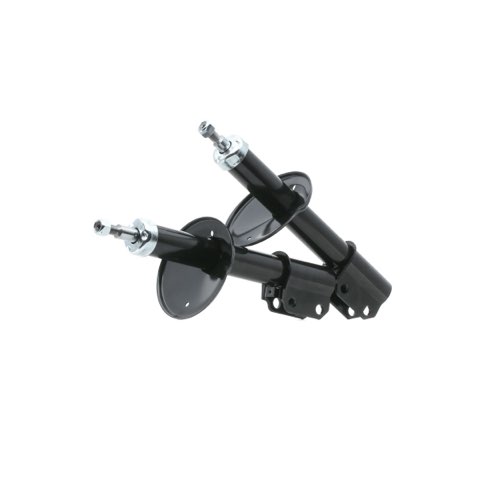 Ridex 854S2557 Shock Absorber