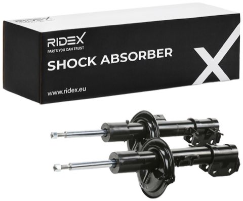 Ridex 854S2568 Shock Absorber