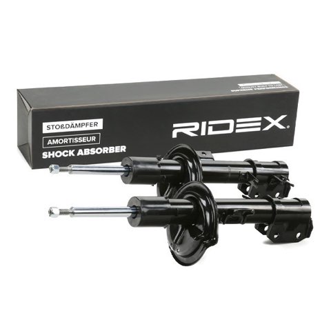 Ridex 854S2568 Shock Absorber, photo 2