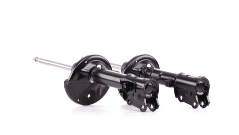 Ridex 854S2576 Shock Absorber